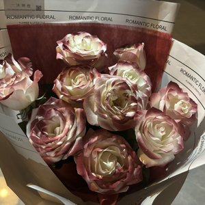 杨颖性交黄色换脸视频
